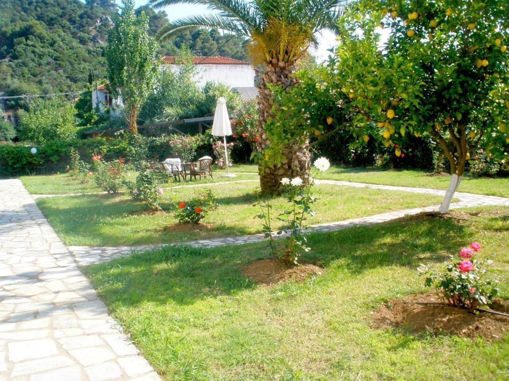 Afroditi Panormos (Skopelos) Exterior foto