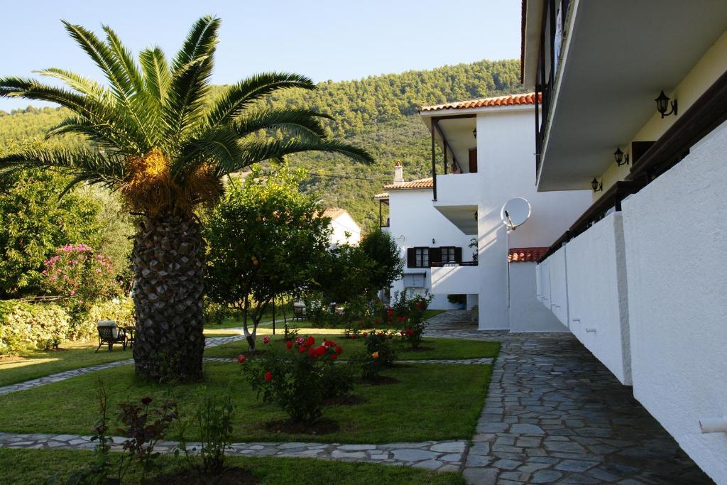 Afroditi Panormos (Skopelos) Exterior foto