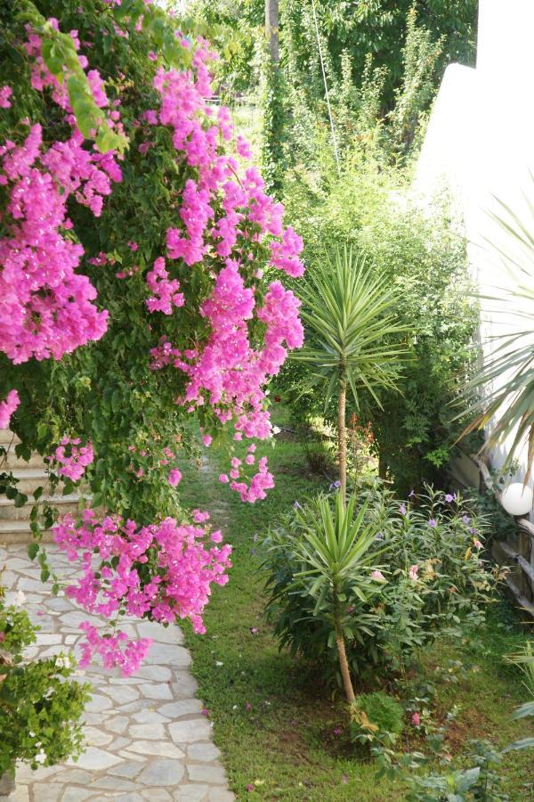 Afroditi Panormos (Skopelos) Exterior foto